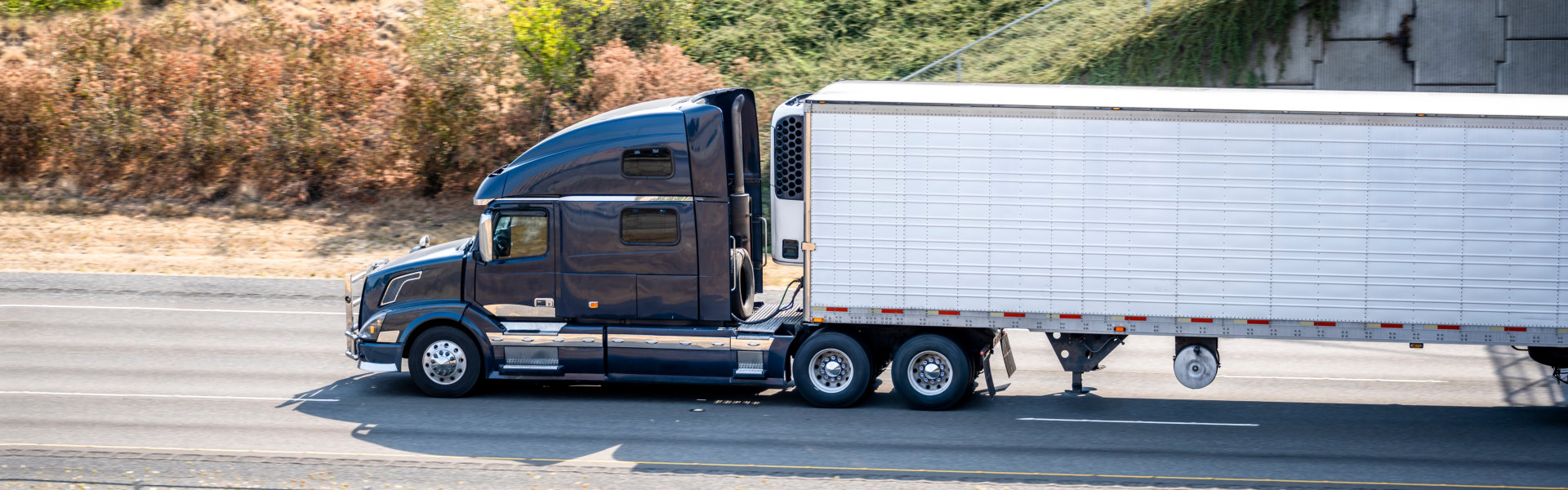 blue Truck in the road